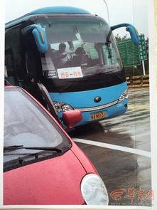 缅甸开车视频吃瓜,视频揭秘异国驾驶文化