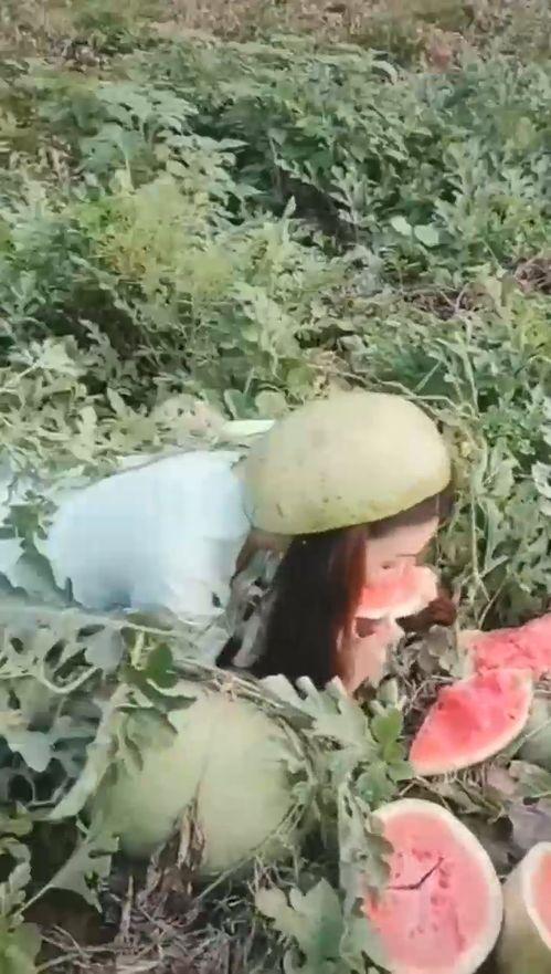 吃瓜漂亮小姐姐视频,揭秘吃瓜小姐姐的短视频魅力