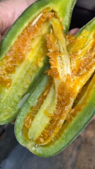 黄背瓜怎么吃最好吃视频,视频教你如何烹饪最佳口感