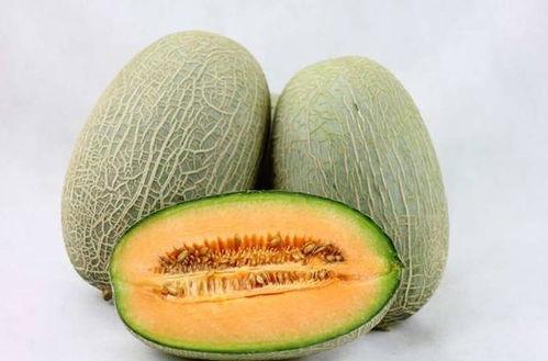 小女孩吃哈密瓜视频,小女孩品尝哈密瓜的纯真快乐