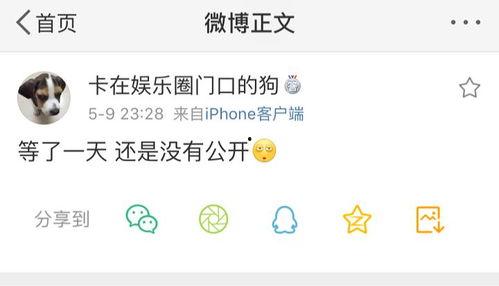 吃瓜视频确认围观,围观现象背后的社会心理解析