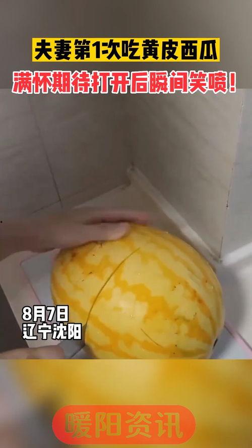 沈阳最新吃瓜视频,揭秘幕后真相，热点事件再掀波澜