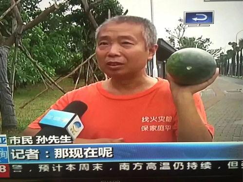 农村吃瓜热点事件视频,揭秘乡村生活里的热点瞬间