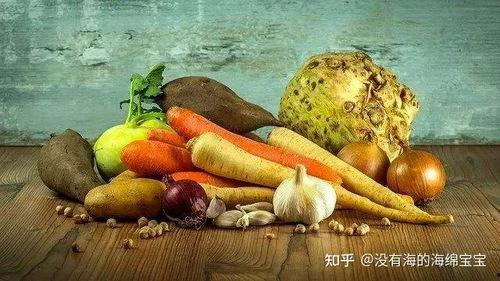 老年人可以吃吊瓜吗视频,适合老年人的养生佳品，食用指南揭秘
