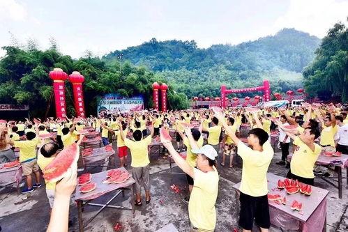 临夏县吃瓜大赛事件视频,一场别开生面的乡村趣味竞技盛宴