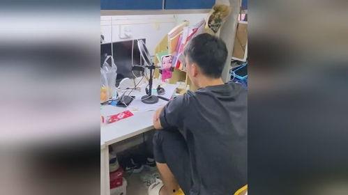 男宿舍吃瓜现场视频,揭秘男生的“秘密花园”瞬间