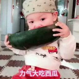 泗水牙医吃瓜视频,揭秘网络热点背后的真相