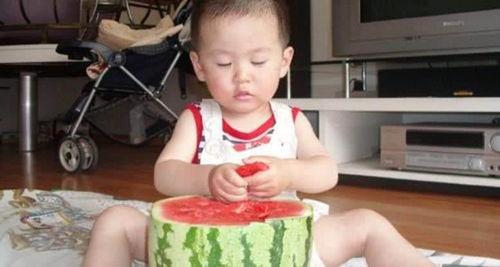 日本人吃瓜搞笑视频,瓜界“笑果”横生，网友直呼“太欢乐”